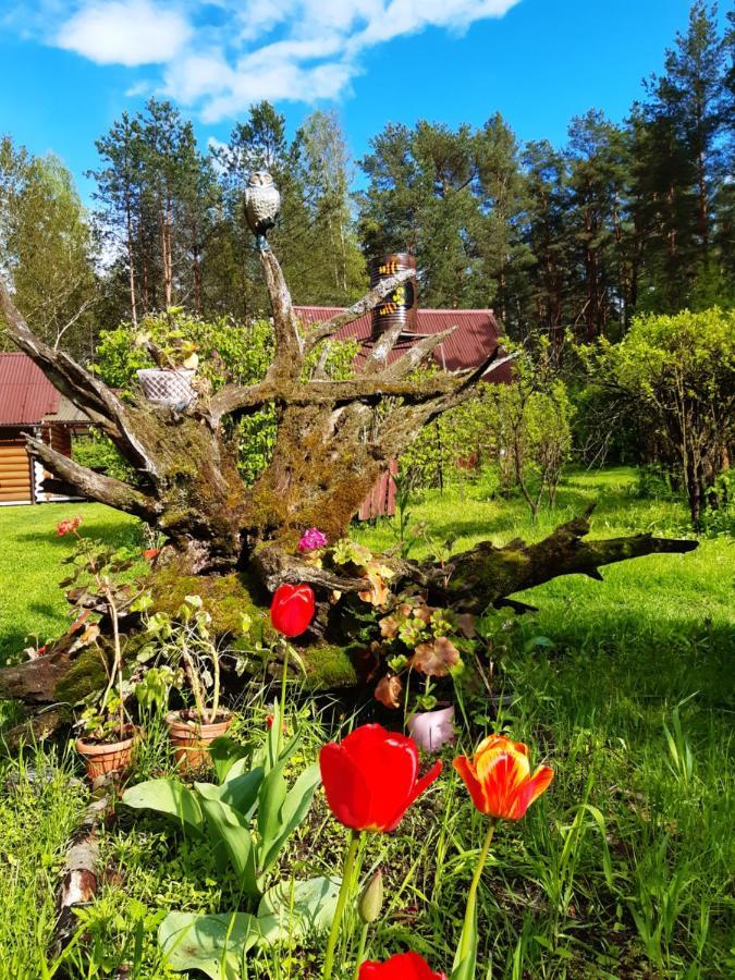 Naroch Guest House Exterior photo