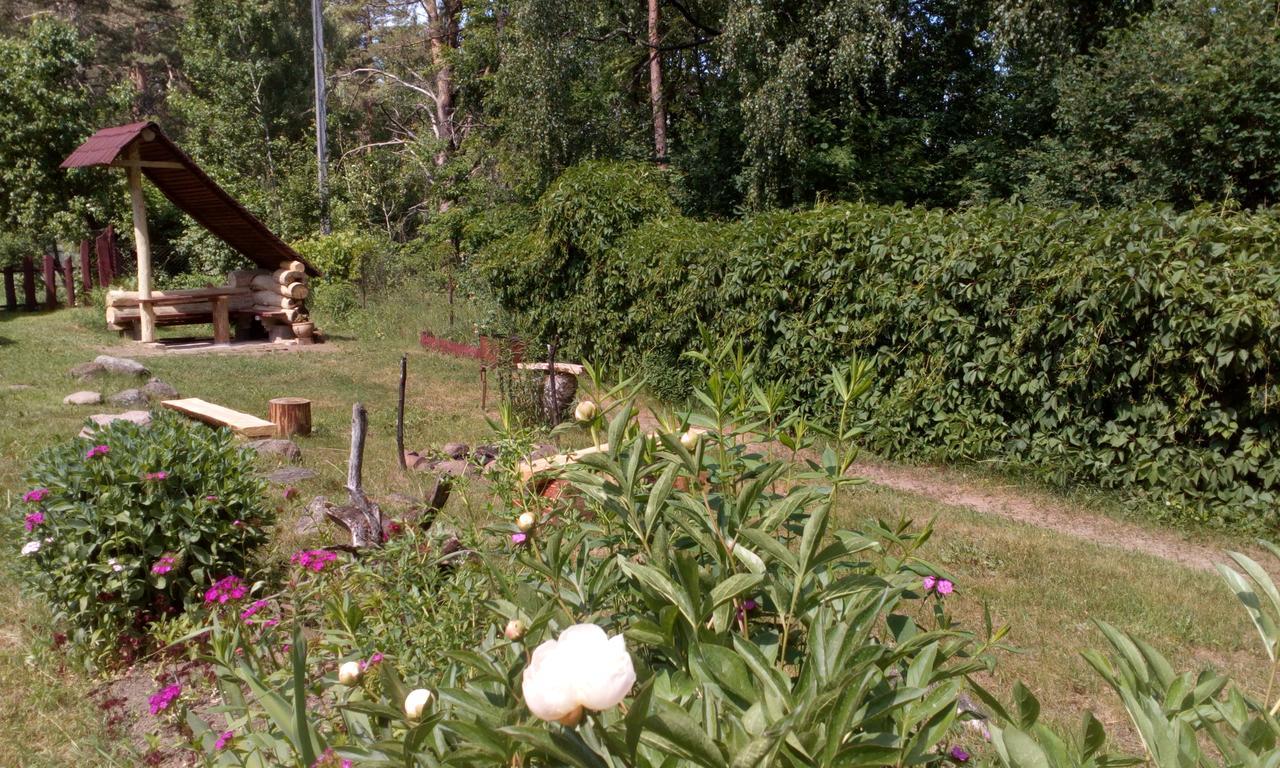 Naroch Guest House Exterior photo